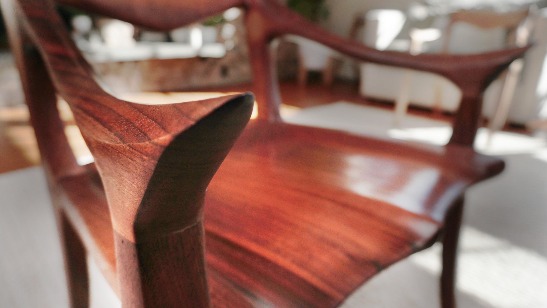 ORGANIC SCULPTED FURNITURE